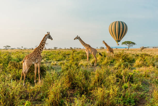 Serengeti National Park