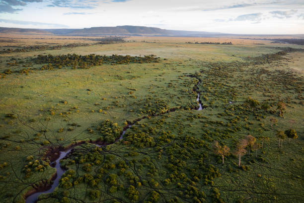 Private Masai Mara Reverse